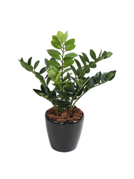 Zamia artificiel 60 cm