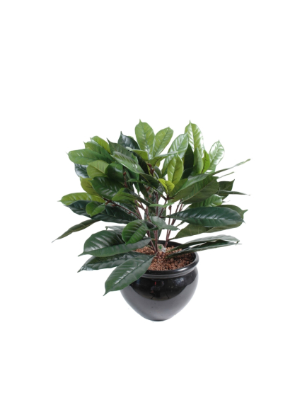 Cyathistipula artificiel en pot - 75 feuilles