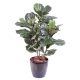 Ficus artificiel Lyrata - 4 tailles au choix