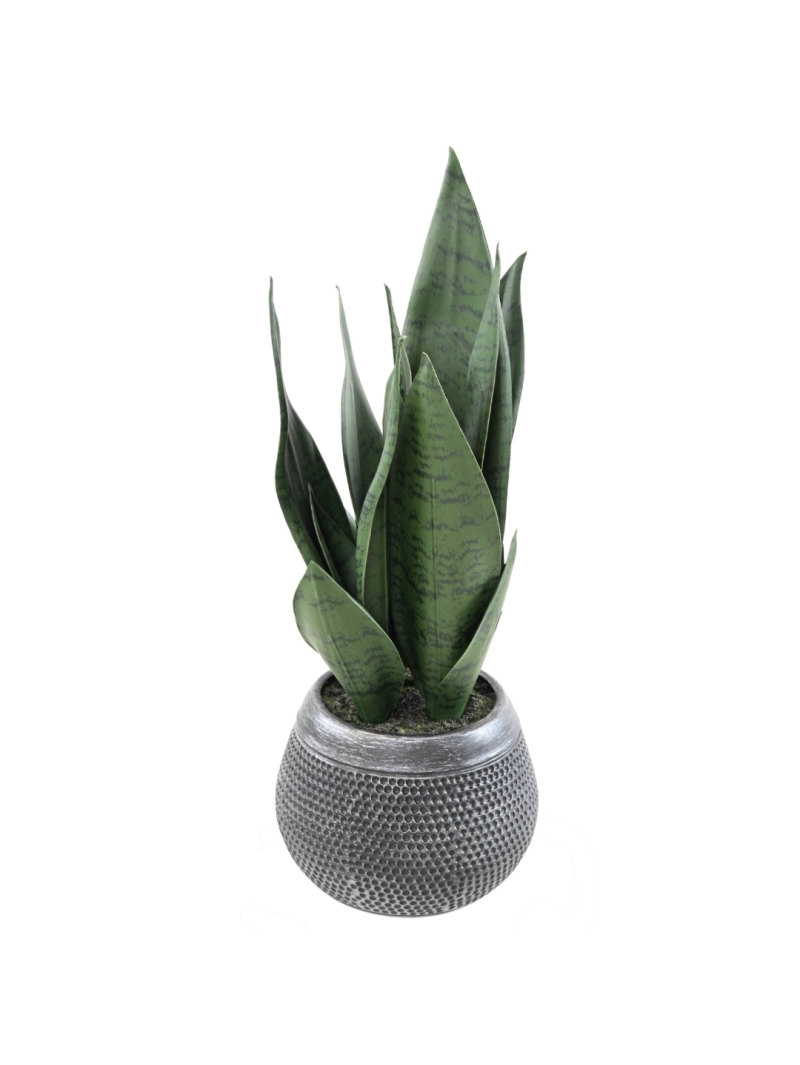 Sanseveria artificiel en pot