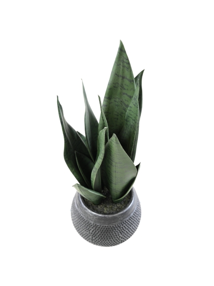 Sanseveria artificiel en pot