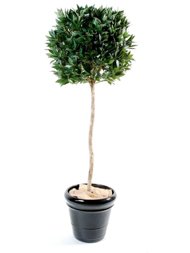 Laurier artificiel tige bois 150 cm