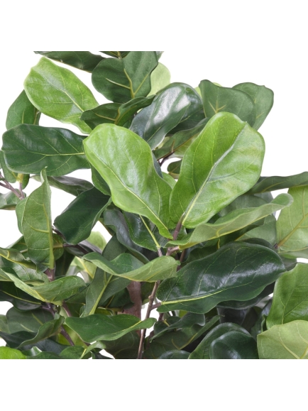 Lyrata Royal artificiel 180 cm