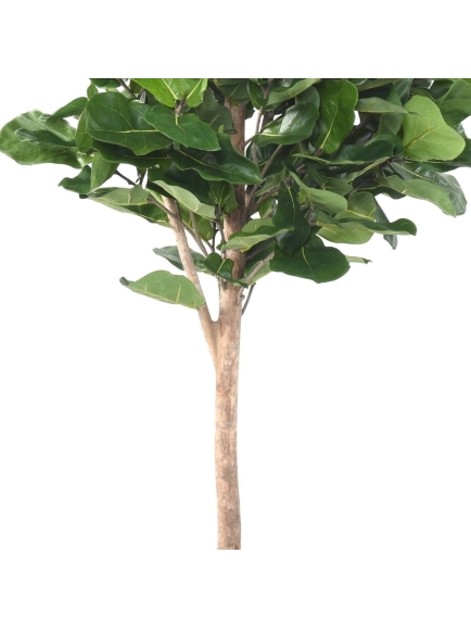 Lyrata Royal artificiel 180 cm