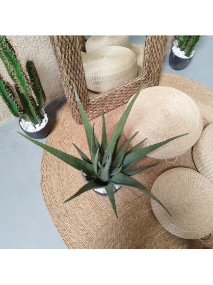Aloé artificielle