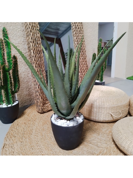 Aloé artificielle