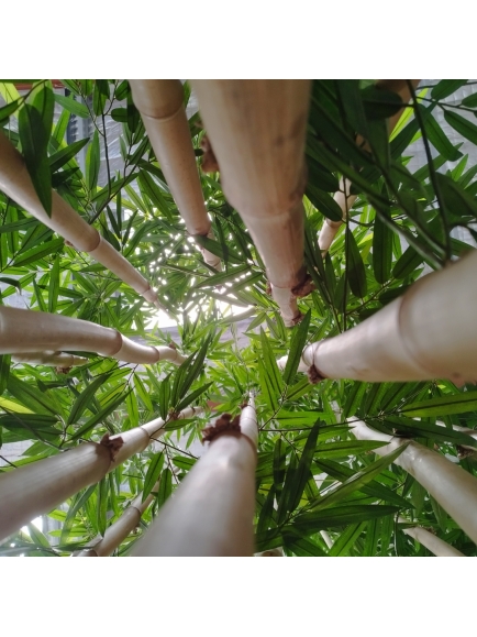 Bambou new geant artificiel 380 cm