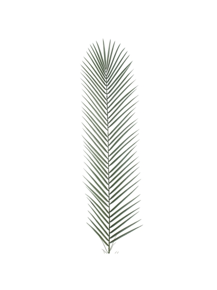 Palmes artificielles de palmier Phoenix 135 CM