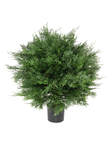 CYPRES ARTIFICIEL DE LAWSON BOULE - UV