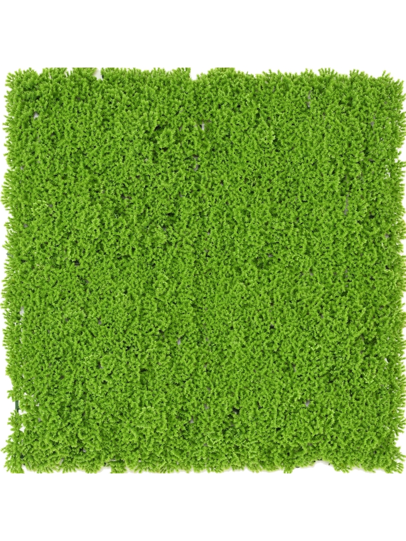 PLAQUE MOUSSE ARTIFICIELLE SCHAGNOPSIDA