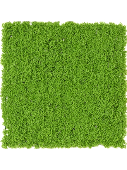 PLAQUE MOUSSE ARTIFICIELLE SCHAGNOPSIDA