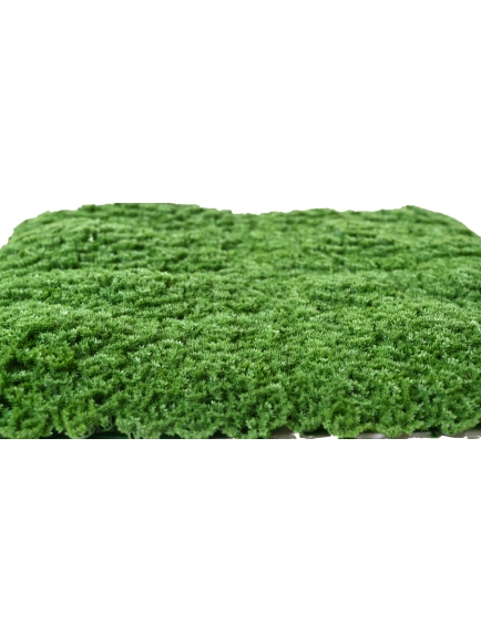 PLAQUE MOUSSE ARTIFICIELLE SPHAGNOPSIDA VERT