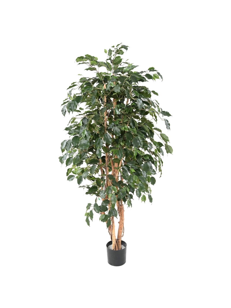 Ficus artificiel exotica 180 cm