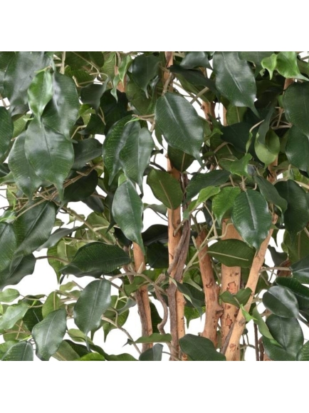 Ficus artificiel exotica 180 cm