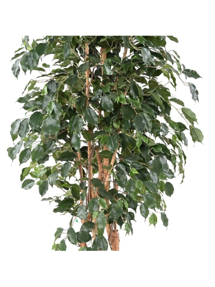 Ficus artificiel exotica 180 cm