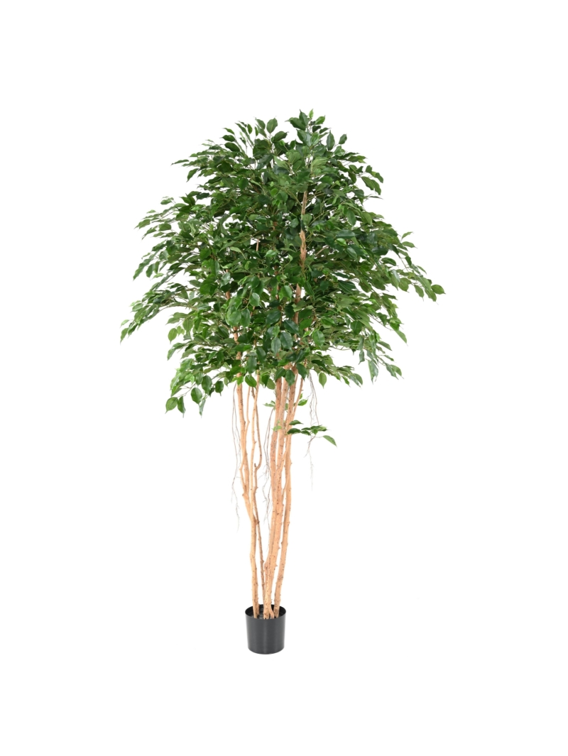 FICUS ARTIFICIEL EXOTICA MT 260 CM