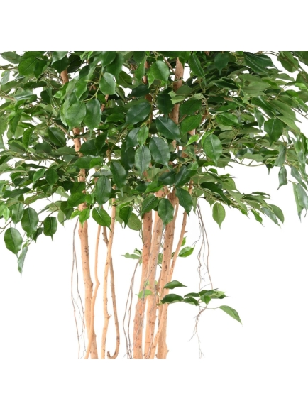 FICUS ARTIFICIEL EXOTICA MT 260 CM