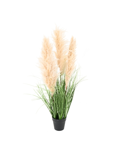 GRAMINEE ARTIFICIELLE CAREX
