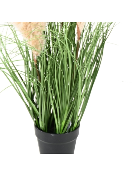 GRAMINEE ARTIFICIELLE CAREX