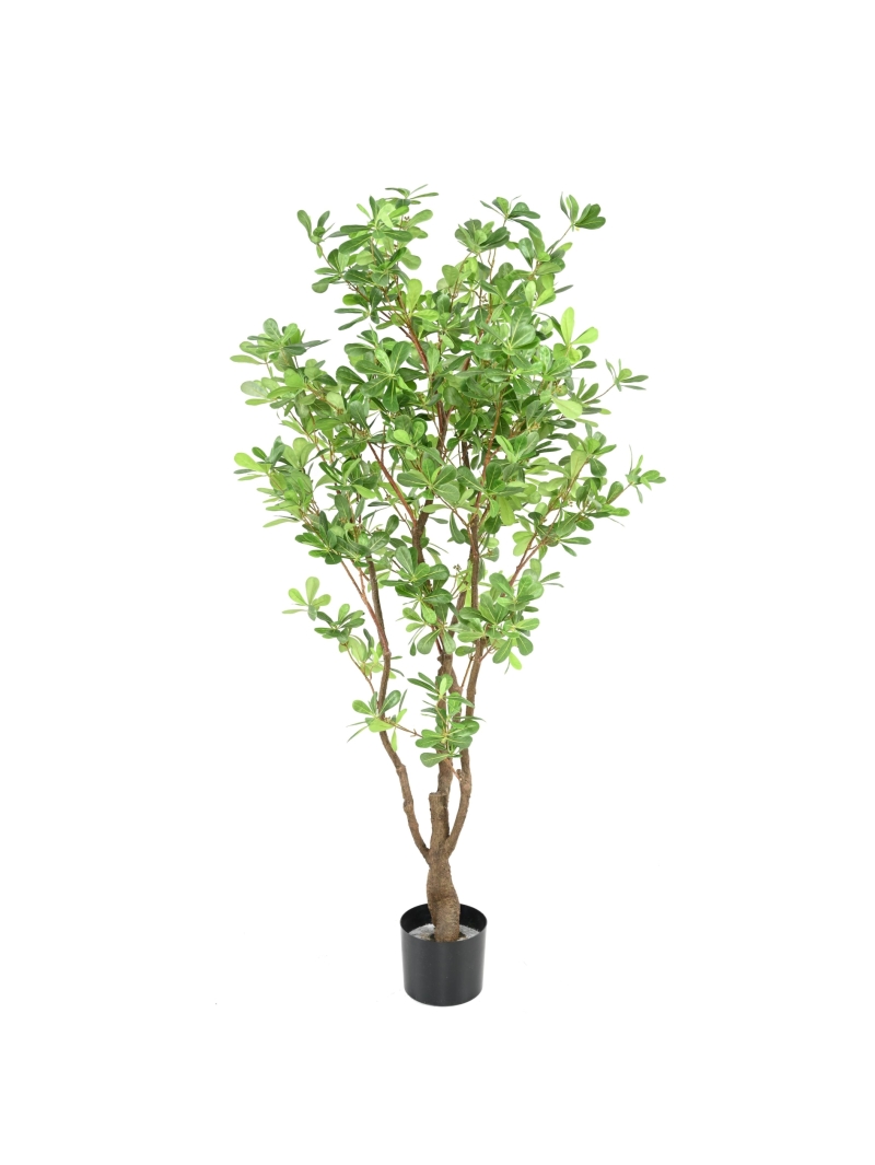 ARBRE PITTOSPORUM ARTIFICIEL B