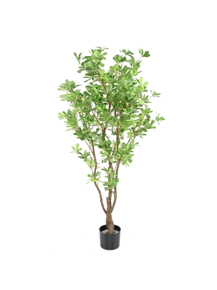 ARBRE PITTOSPORUM ARTIFICIEL B