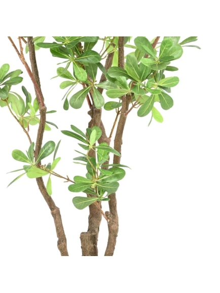 ARBRE PITTOSPORUM ARTIFICIEL B