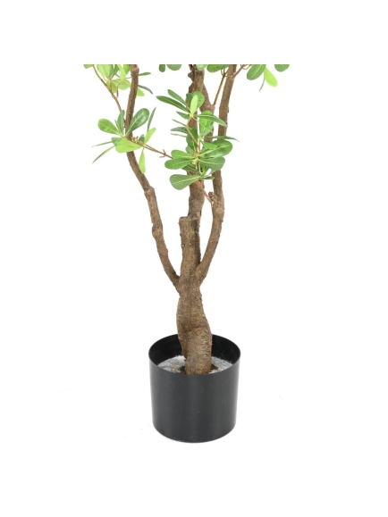 ARBRE PITTOSPORUM ARTIFICIEL B