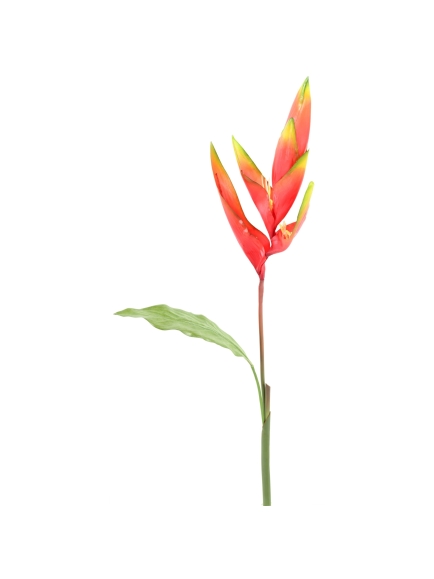 Bird of paradise en tige