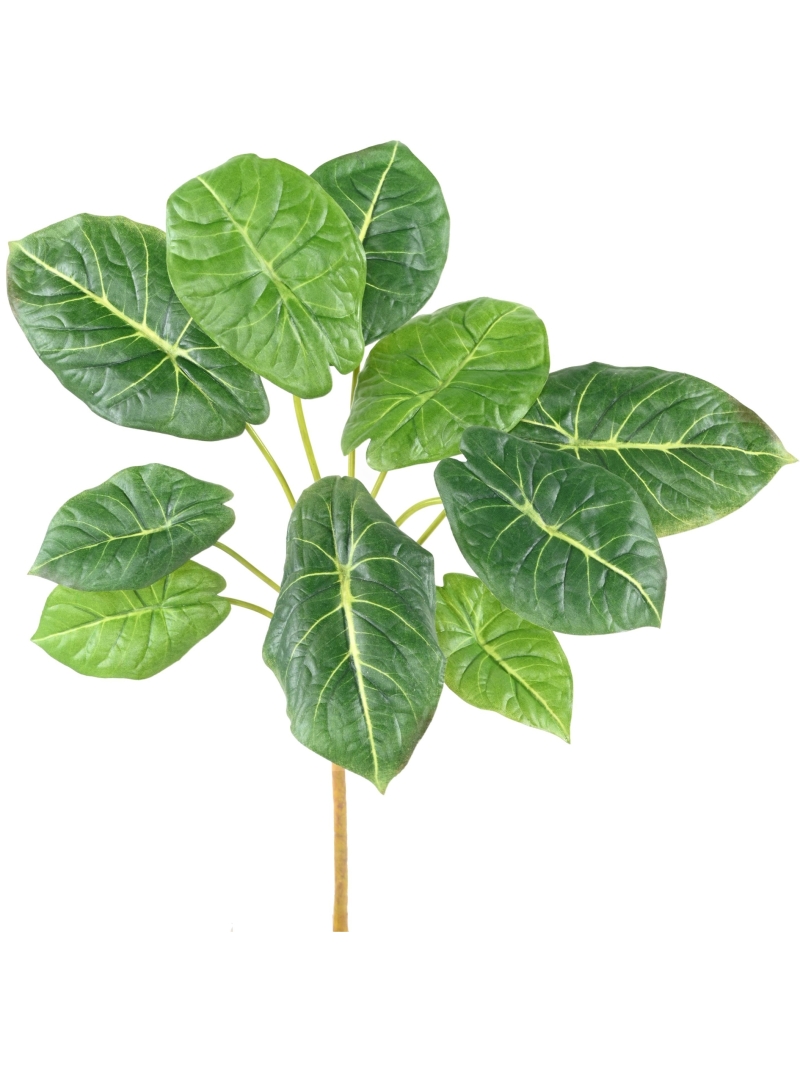Alocasia artificielle en tige