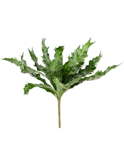 Asplenium artificiel en tige