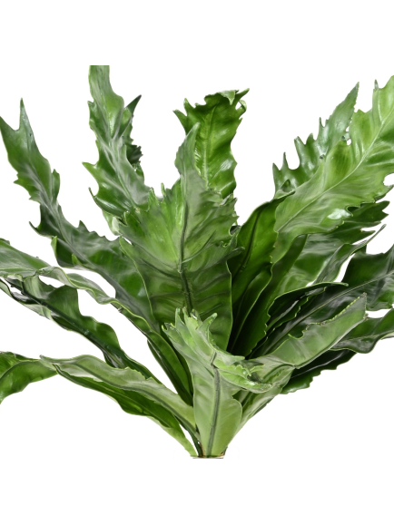 Asplenium artificiel en tige