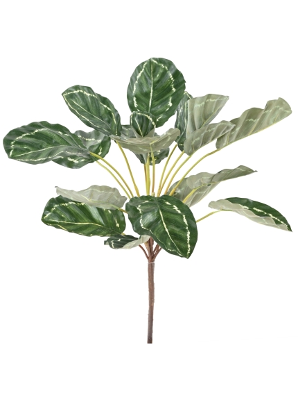 Calathea artificiel en tige
