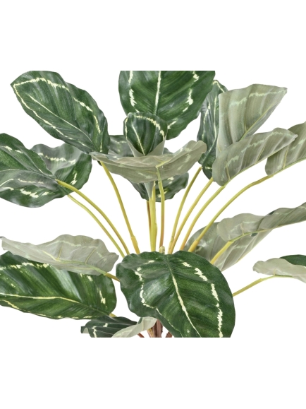 Calathea artificiel en tige