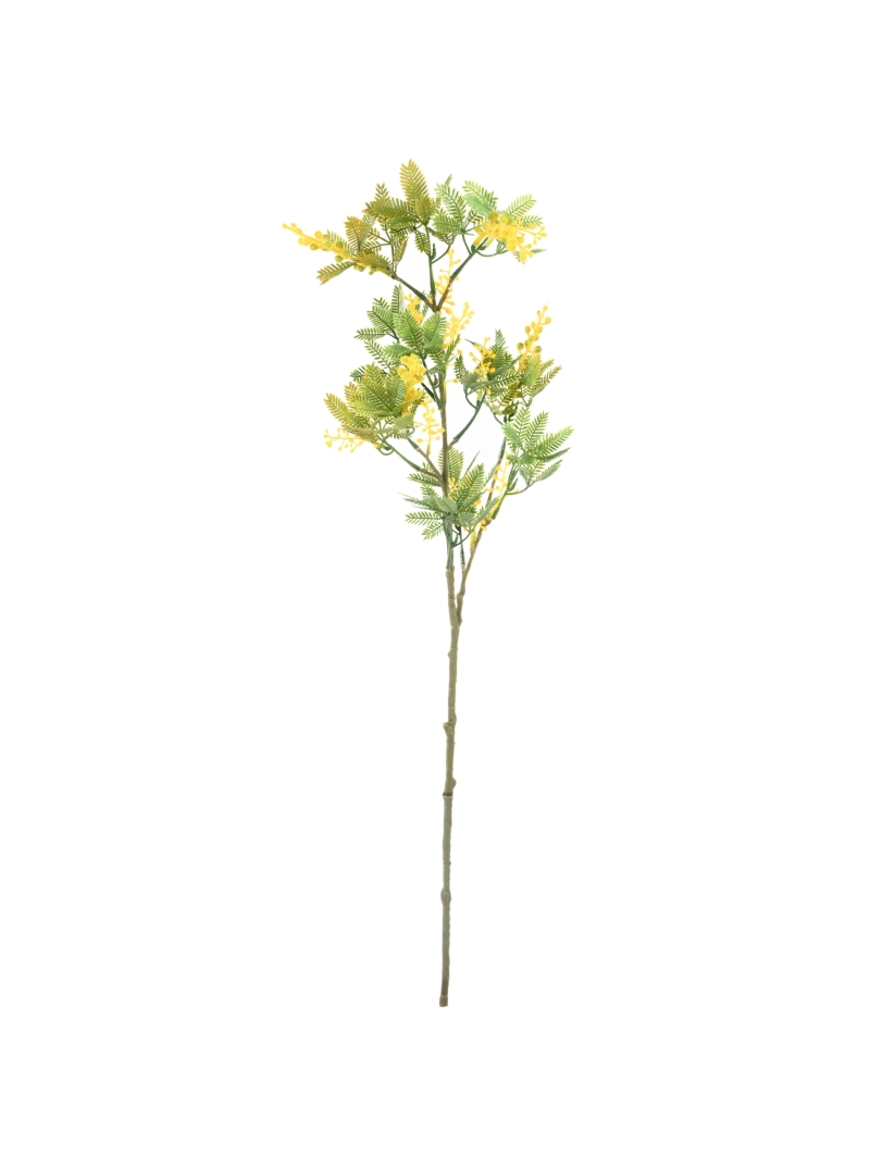 Mimosa artificiel en tige