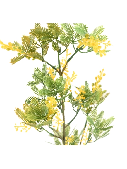 Mimosa artificiel en tige