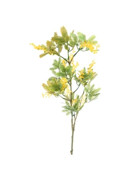 Mimosa artificiel en tige