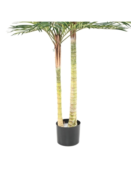 PHOENIX PALM 2T