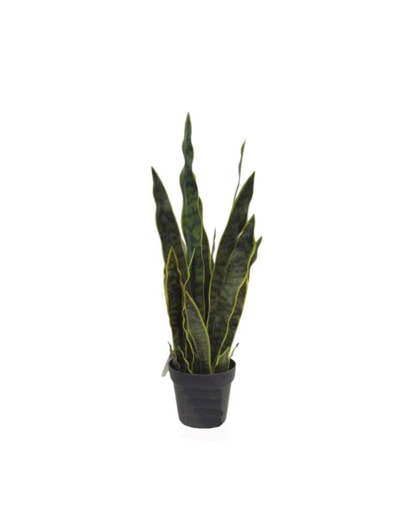 SANSEVIERIA VERT ARTIFICIEL 75 CM