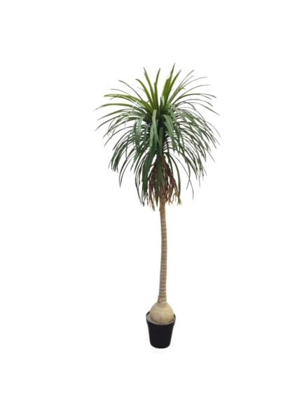 AGAVE ARTIFICIELLE 240 CM