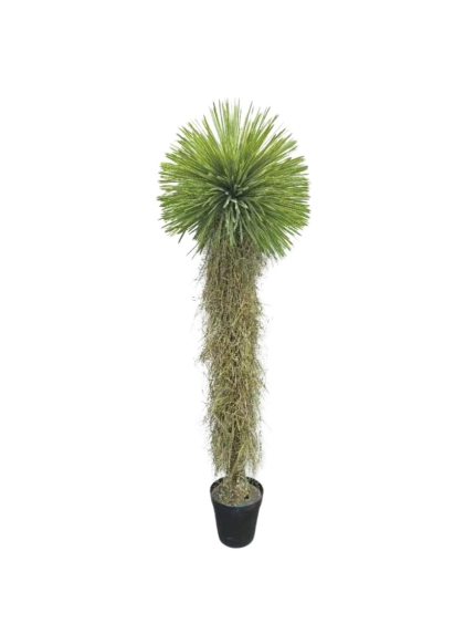 YUCCA ROSTRATA ARTIFICIEL 175 CM