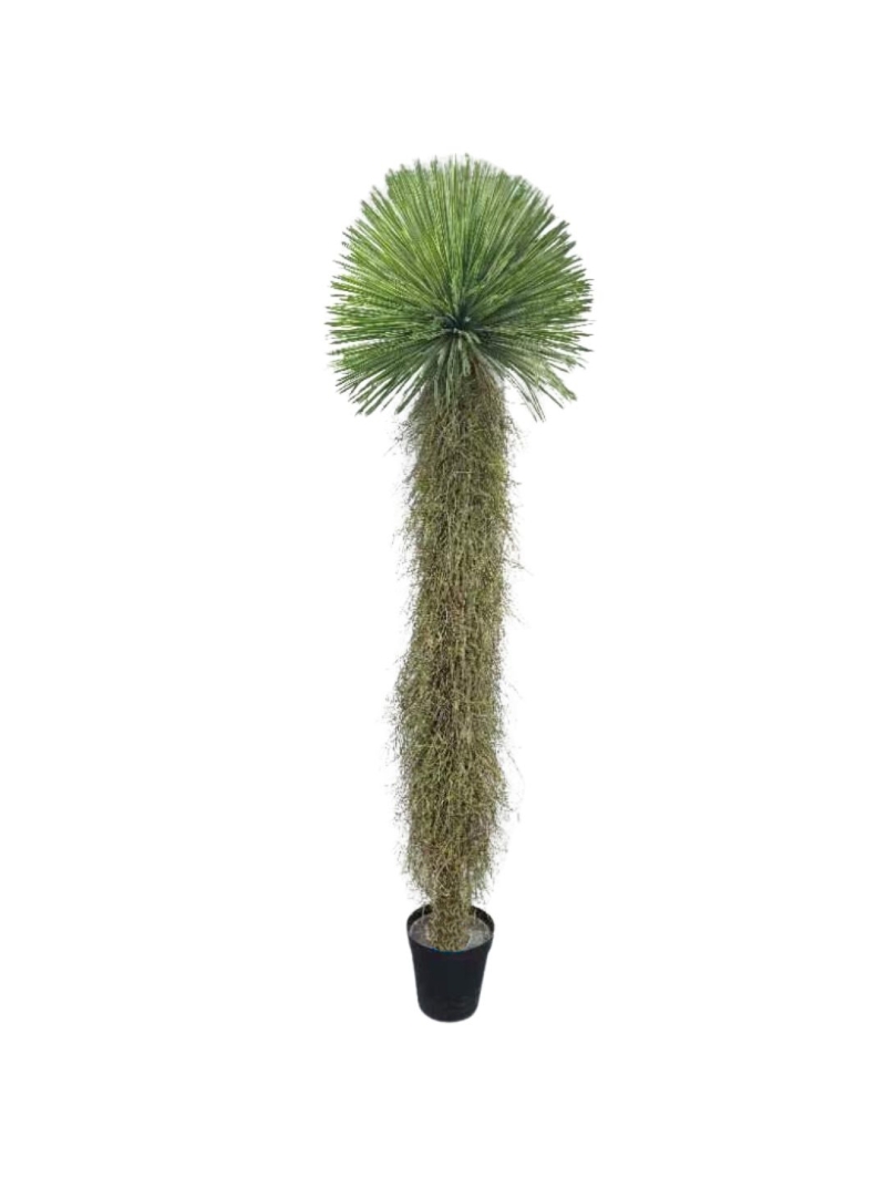 YUCCA ROSTRATA ARTIFICIEL 210 CM