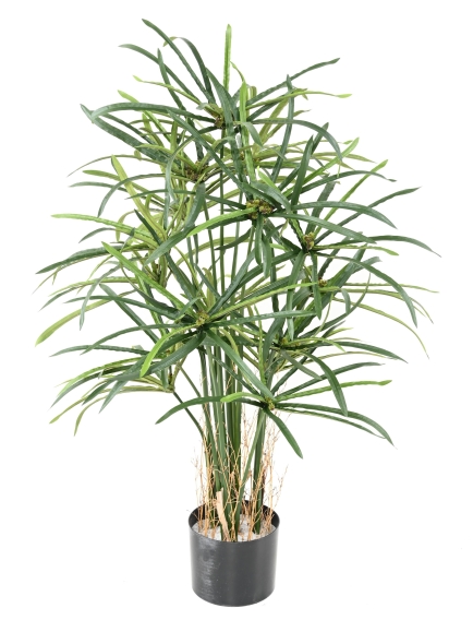 PAPYRUS ARTIFICIEL ALTERNIFOLIS