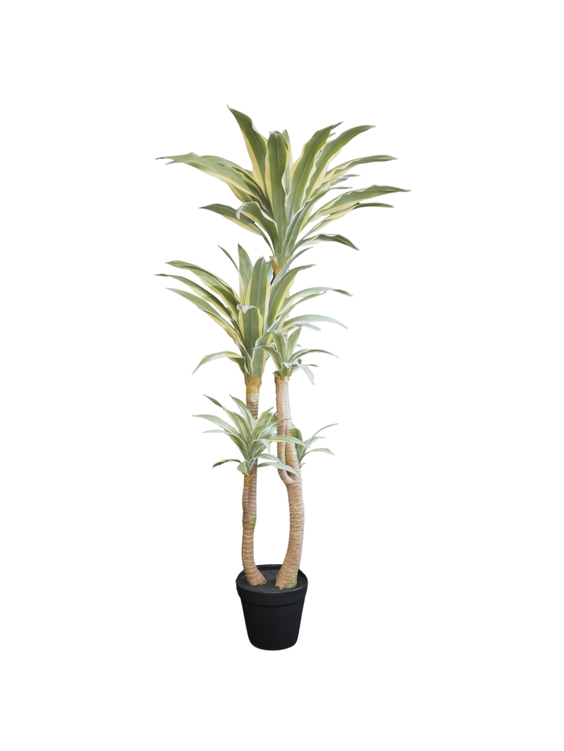 AGAVE PANACHE ARTIFICIELLE 160 CM