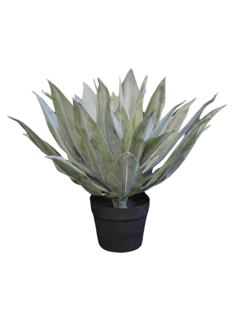 AGAVE ARTIFICIELLE 50 CM