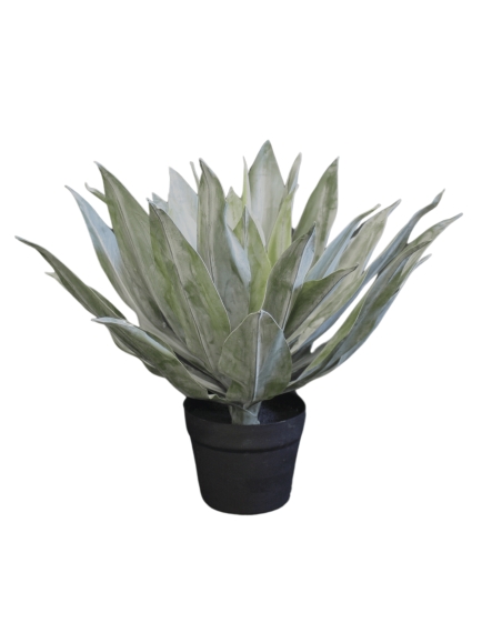 AGAVE ARTIFICIELLE 50 CM