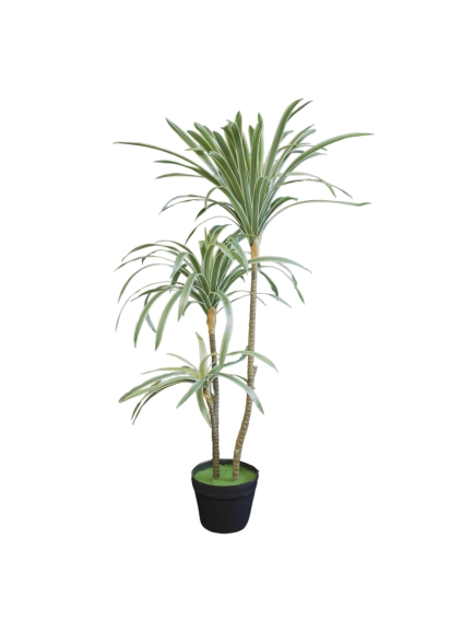DRACAENA ARTIFICIELLE PANACHE 85 CM