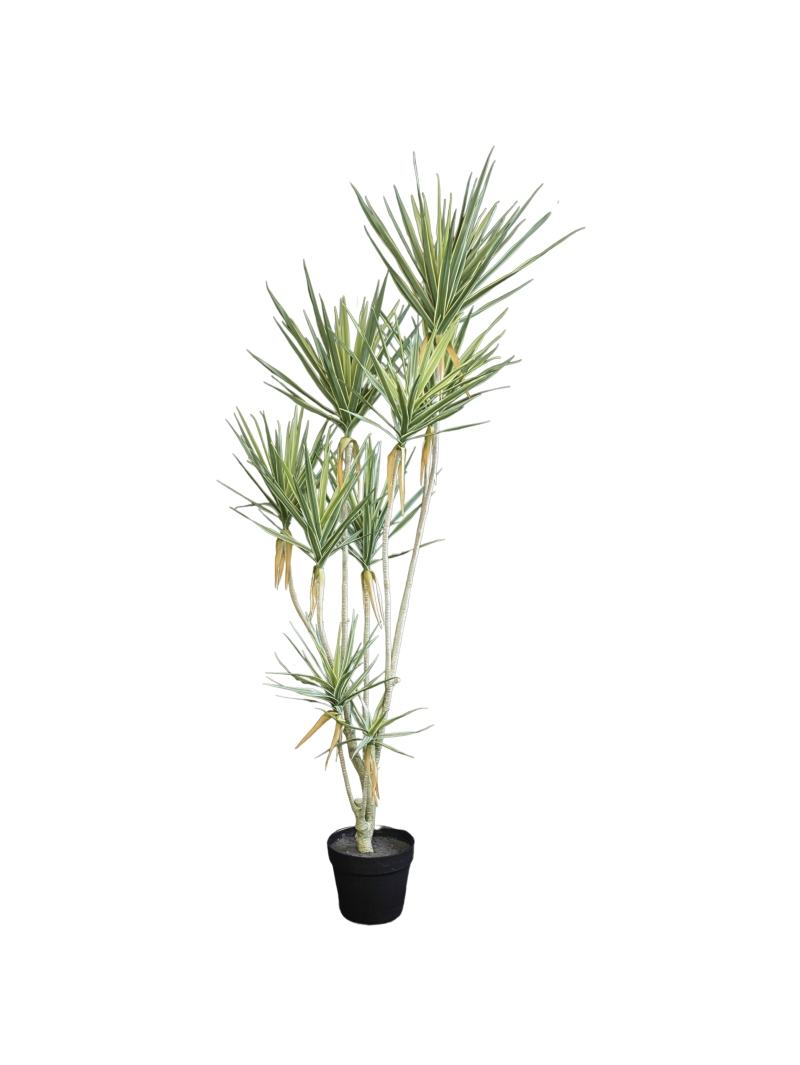 DRACAENA ARTIFICIELLE PANACHE 156 CM
