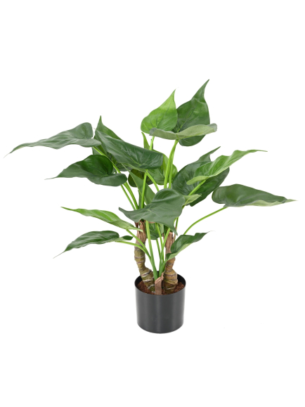Alocasia artificiel cucullata