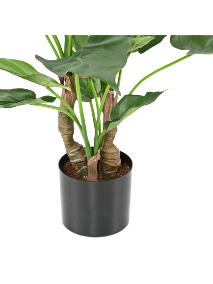 Alocasia artificiel cucullata