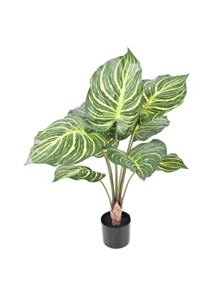 APHELANDRA ARTIFICIEL LARGE